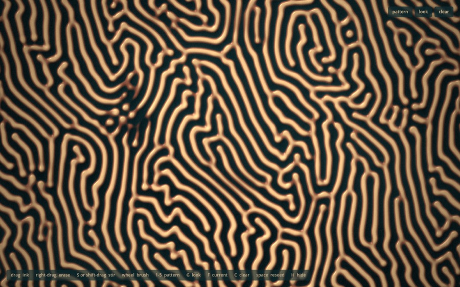 Ink Garden: a labyrinth reaction-diffusion pattern graded in teal and amber